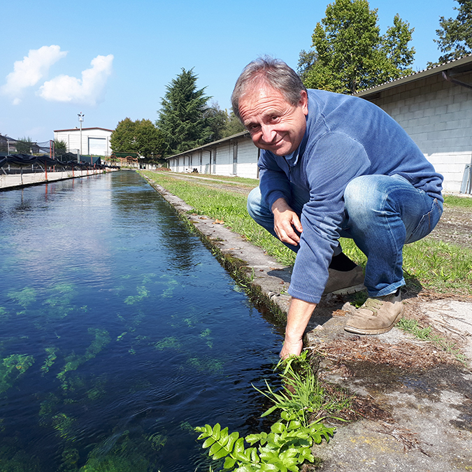 FATTORIA DEL PESCE